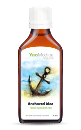 042 - Verankerte Idee