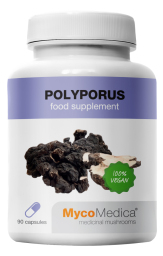 Polyporus